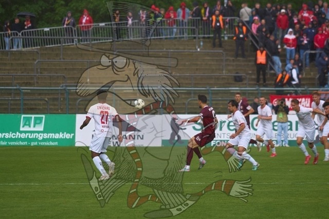 BFC Dynamo vs. FSV Zwickau 048 | mythos-online-redaktion