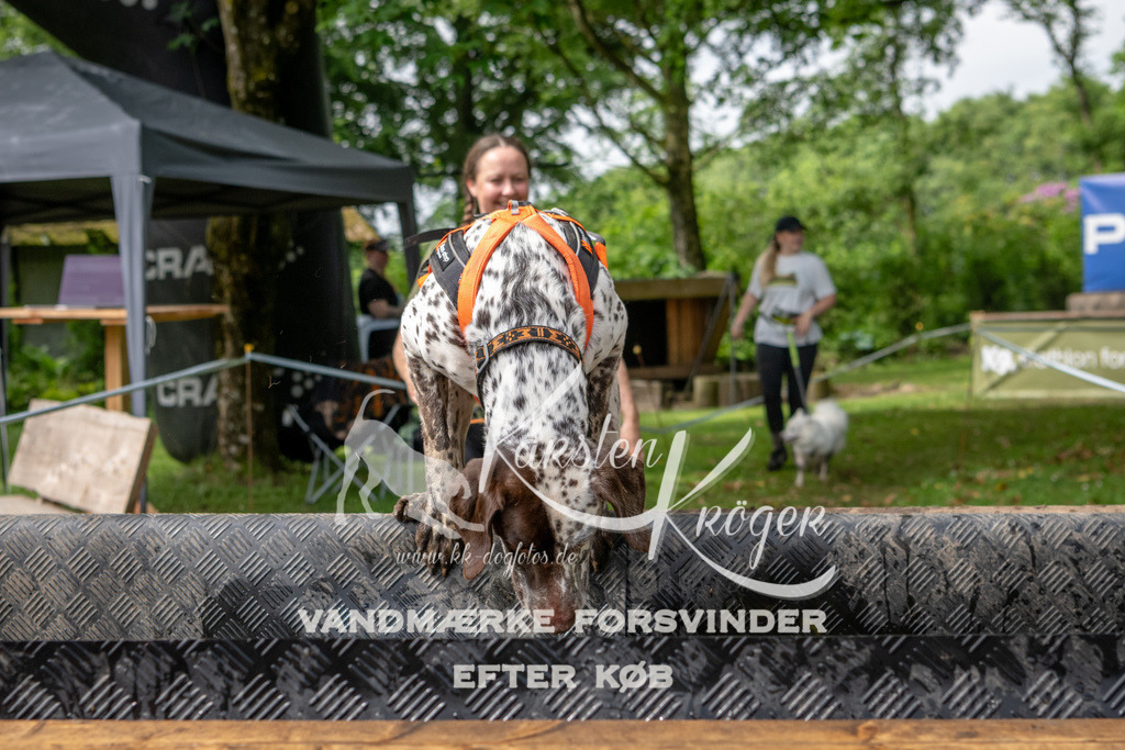 1027_ZZ90734 | kk-dogfotos