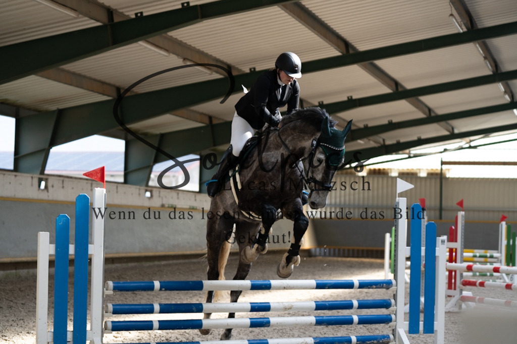 A7V06669 | Pferdefotograf