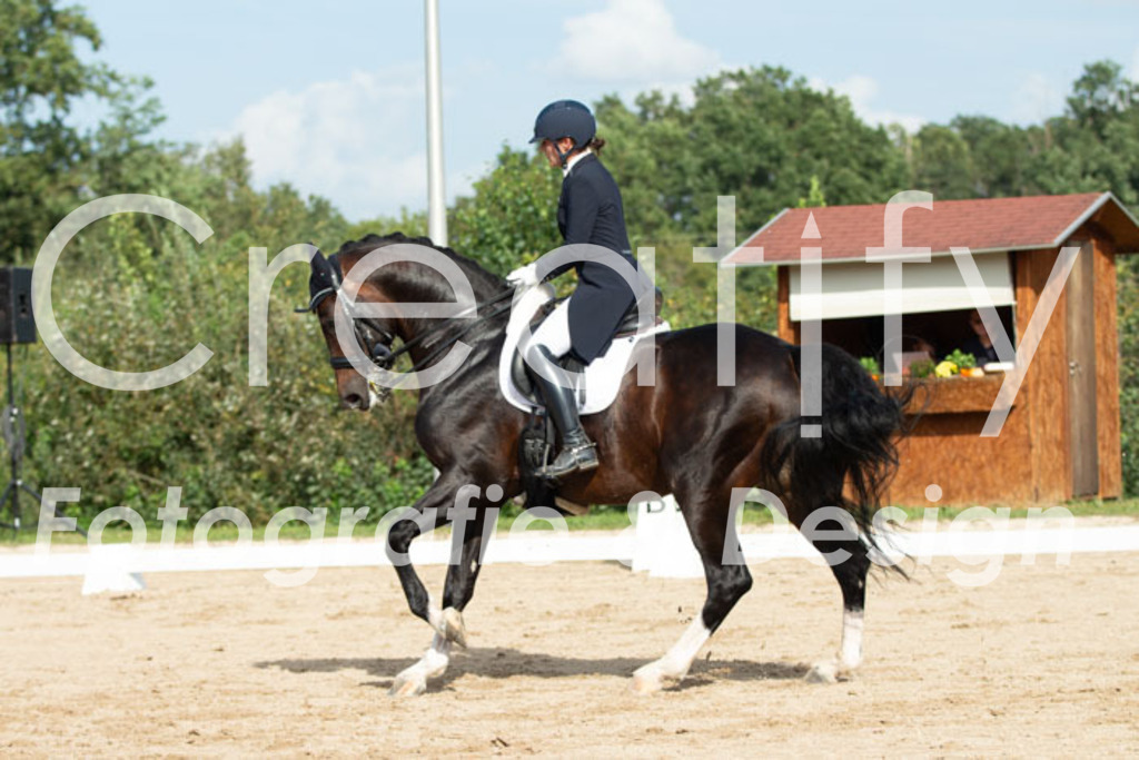 IMG_4043 | Creatify Fotografie