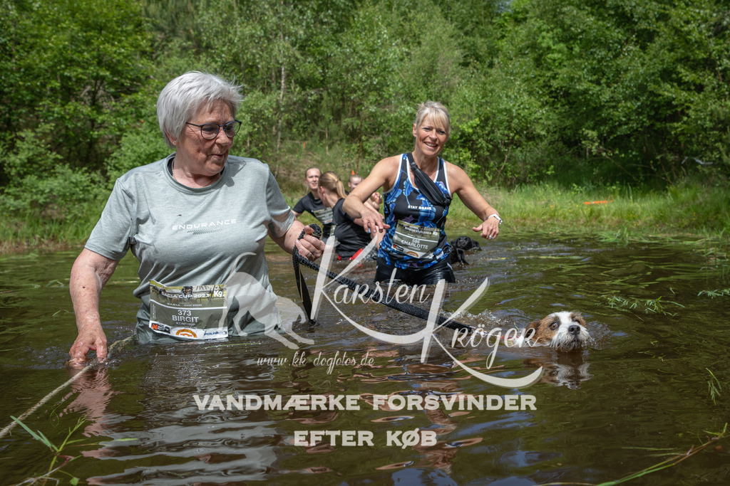 1123DKK990137 | kk-dogfotos