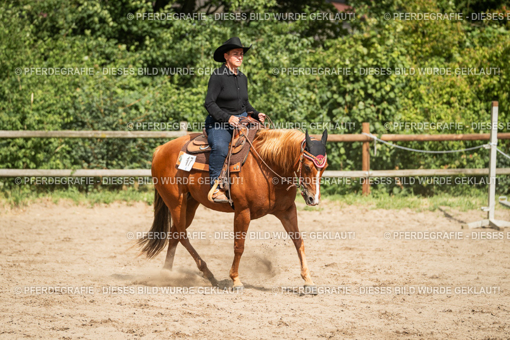 DSC03496 | Pferdegrafie