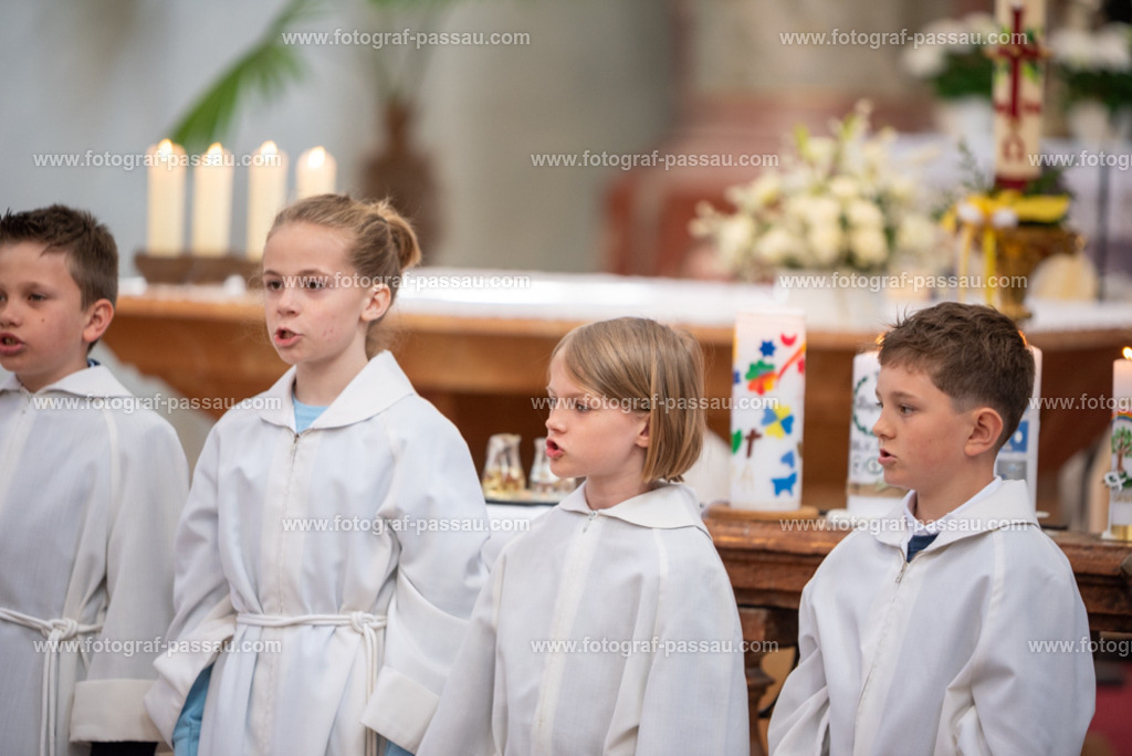 _DSC2681 | Hier finden Sie die Online Foto-Galerie von fotograf-passau.com und marius-handrugan.de. Suchen Sie sich direkt Ihre Lieblingsbilder aus, ob als Ausdruck oder Download. - Realisiert mit Pictrs.com