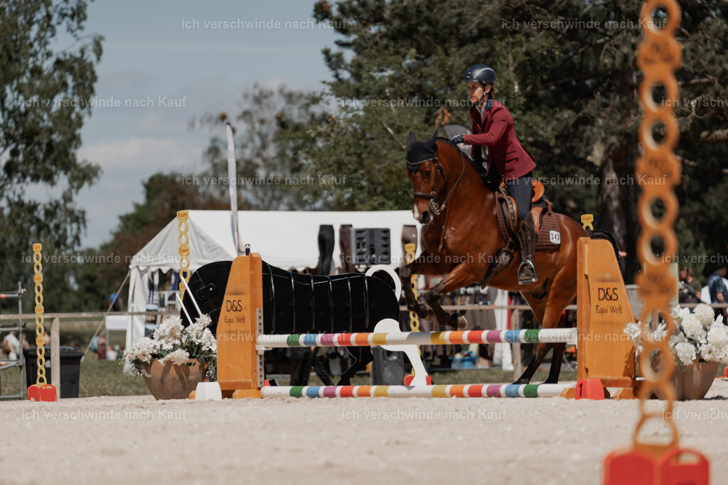 WE_ST_Stoib_343_PI2025_1306 | Pferd International München 2025