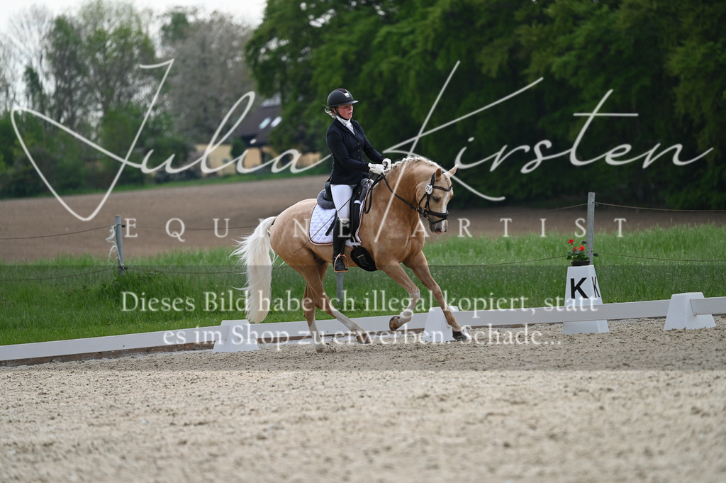 20230512_JK-Röhrsdorf-02-109 | Pferde- und Turnierfotografie in Westsachsen. Pferdeportraits, Auftragszeichnungen und intuitive Kunst.
