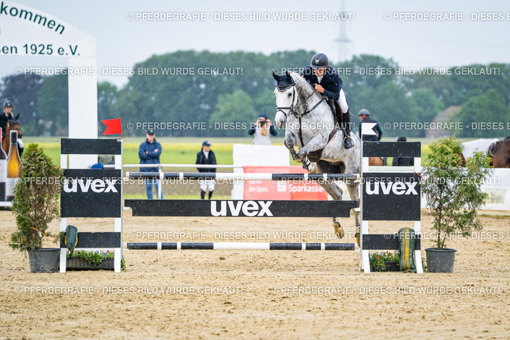 DSC08558 | Pferdegrafie