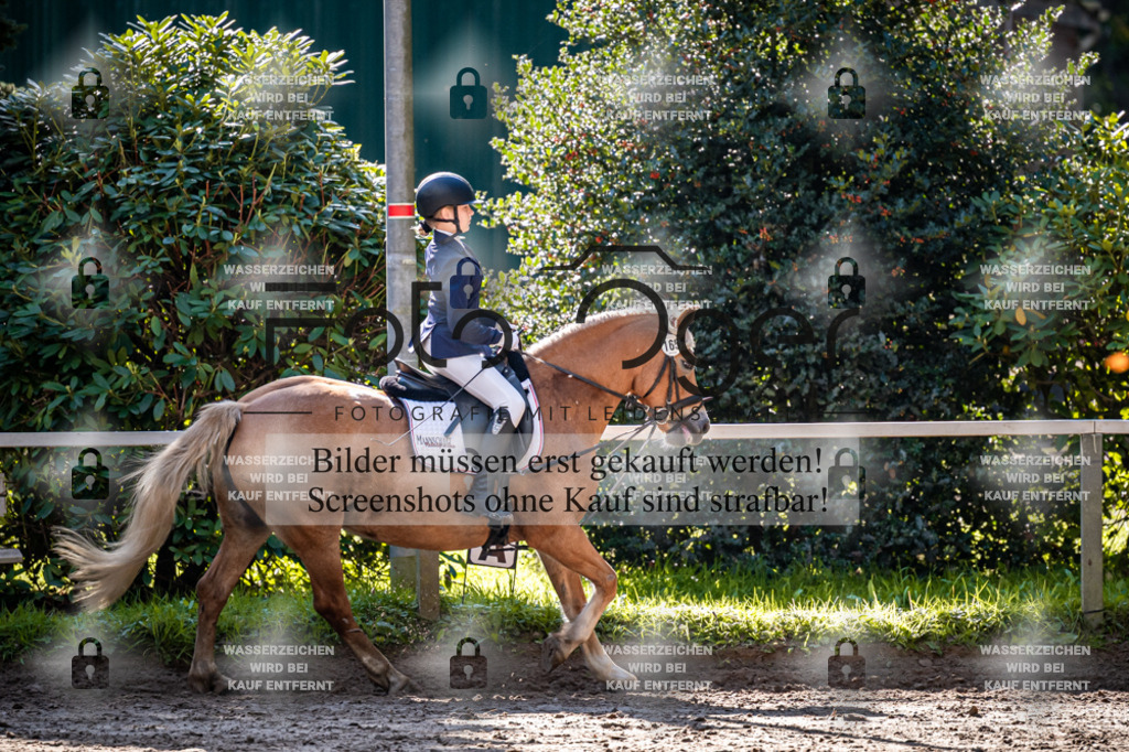 2026-10-Helle-20-4-0025 | Entdecke hochwertige Reitturnierfotos von Foto Oger. Professionell, emotional und authentisch – jetzt Lieblingsmomente im Shop bestellen.Deutschlandweite Turnierfotografie. - Realisiert mit Pictrs.com