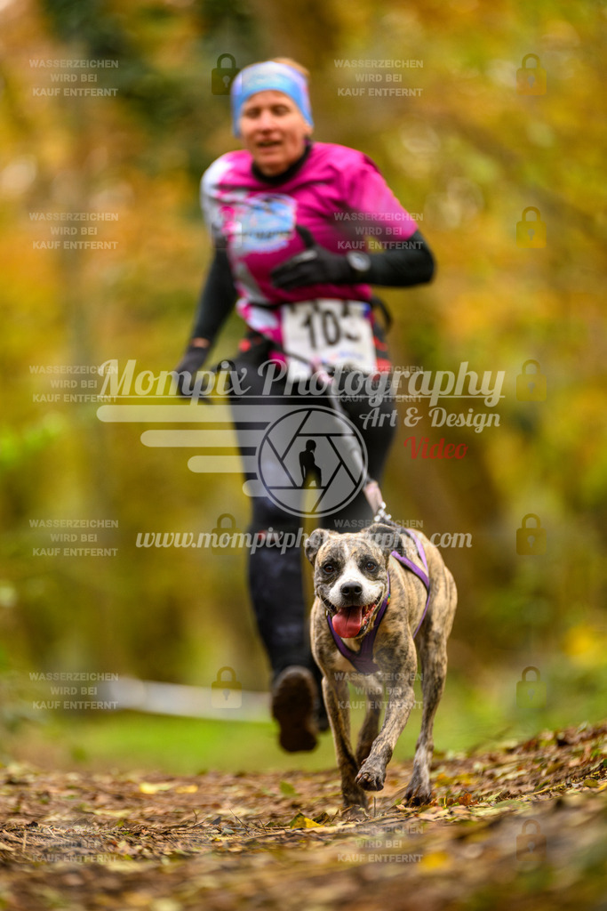 MompixPhotography_Bischwiller24_SA_Canicross-186 | PayLife