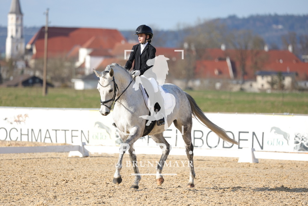 0P6A7995 | Willkommen bei Brunnmayr - Design & Fotografie – Ihrem Spezialisten für Reitturniere und Pferdeveranstaltungen in Oberösterreich, Salzburg und Bayern! Seit über 17 Jahren sind wir leidenschaftlich dabei.
