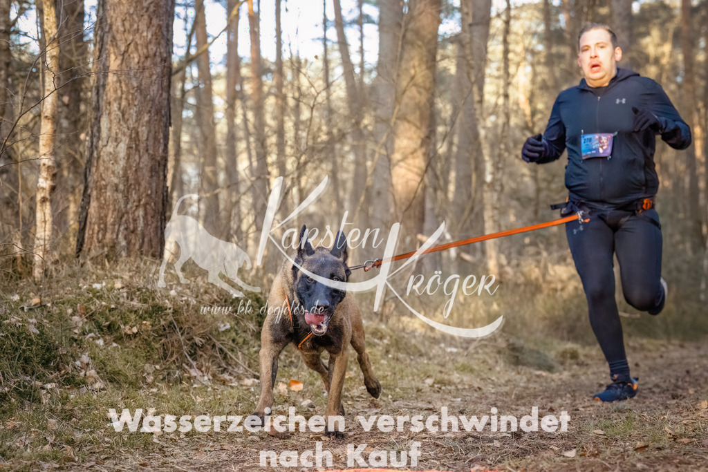 0805_ZZ99311-Bearbeitet | kk-dogfotos