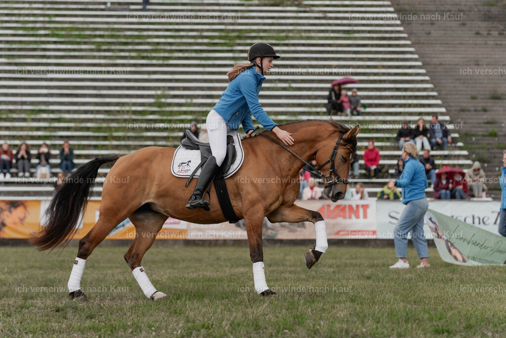 Showprogramm-287 | working equitationturnier fotograf videograf stoibphotography marixx film working equitation deutschland reitsport turnierfotografie eventfotografie equestrian events