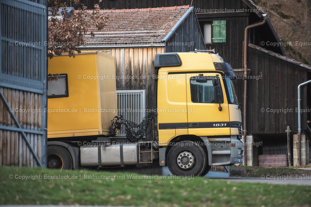 20240302_Hengstvorstellung_Marbach_TOMsPiC_0049 | equistock