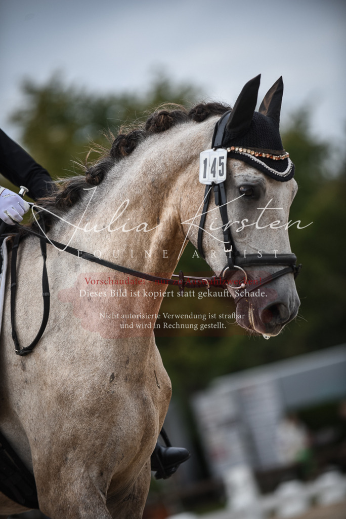 DSC_8229 | Pferde- und Turnierfotografie in Westsachsen. Pferdeportraits, Auftragszeichnungen und intuitive Kunst.