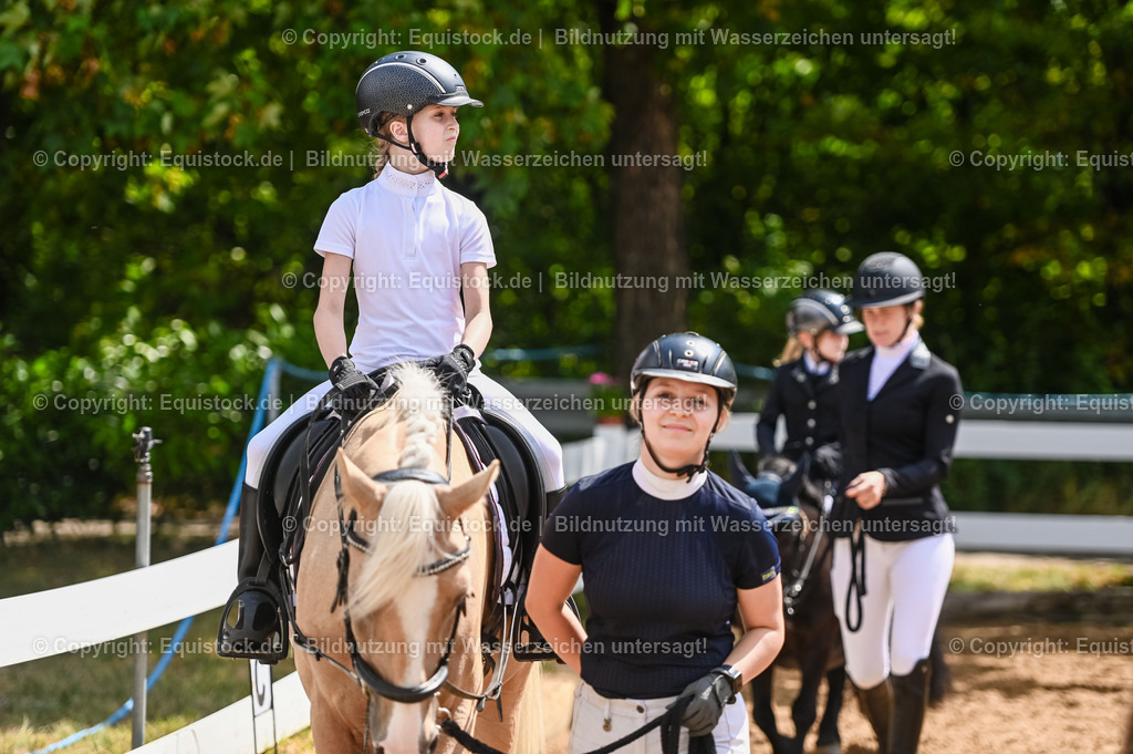 20230716_11_Führzügel-WB_0048 | equistock