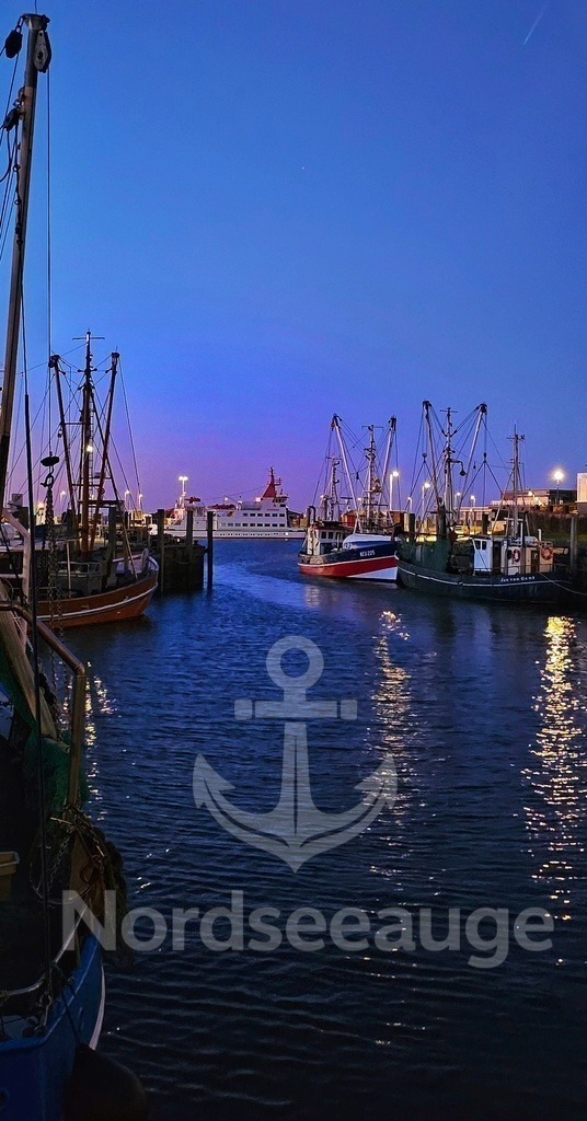 1 | Nordseeauge zeigt ruhige Fotokunst von der Nordsee. Hochwertige Prints, Bilder und Motive mit Weite, Licht und Meer – für Zuhause oder als Geschenk. Robbycard-Nordsee Erlebnisse zum sammeln