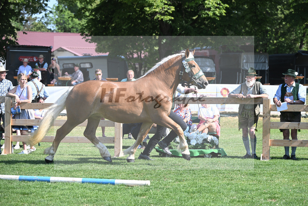 Kat-Nr. 10 Hilla_Hartl_20230149 | hf-fotografie - Realisiert mit Pictrs.com