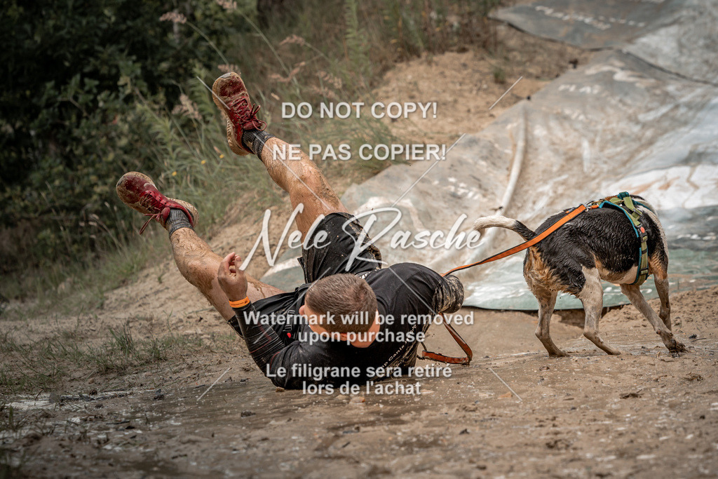 nelerasche_sa1300-1345_131 | nelerasche