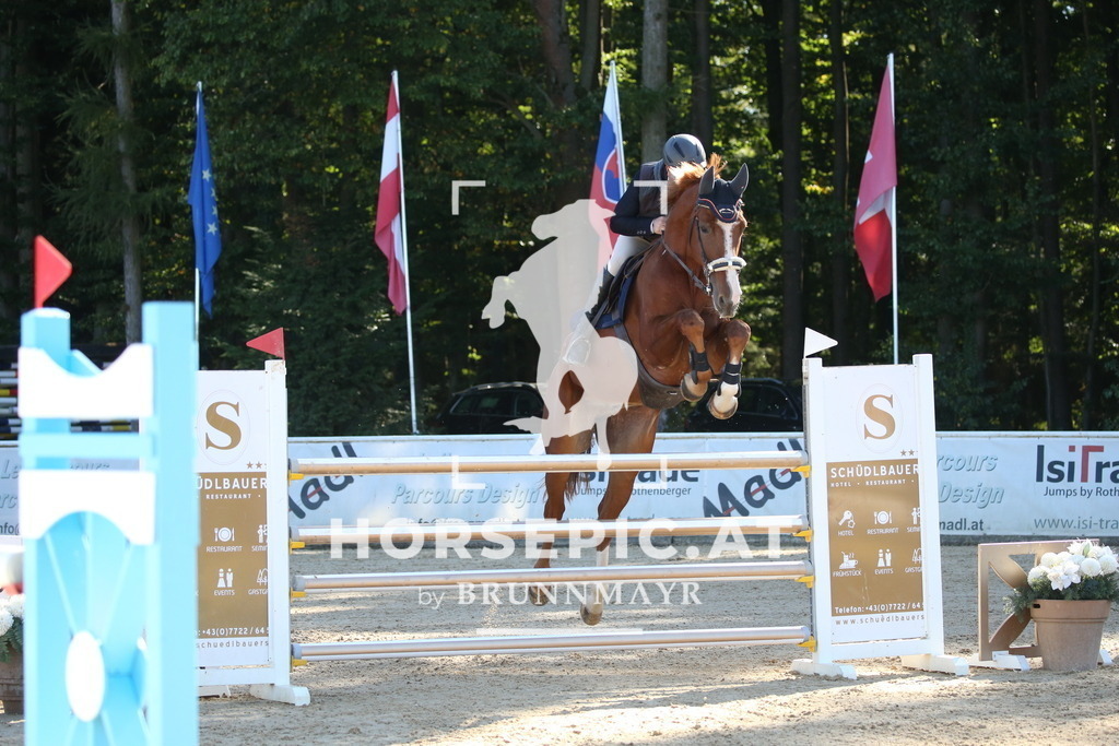 DL2Q3313 | Willkommen bei Brunnmayr - Design & Fotografie – Ihrem Spezialisten für Reitturniere und Pferdeveranstaltungen in Oberösterreich, Salzburg und Bayern! Seit über 17 Jahren sind wir leidenschaftlich dabei.