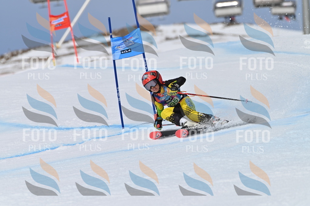 BGV_5892 | holidayphoto