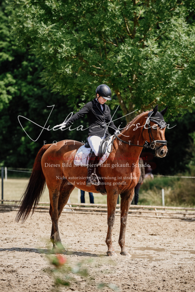 DSC_1426 | Pferde- und Turnierfotografie in Westsachsen. Pferdeportraits, Auftragszeichnungen und intuitive Kunst.