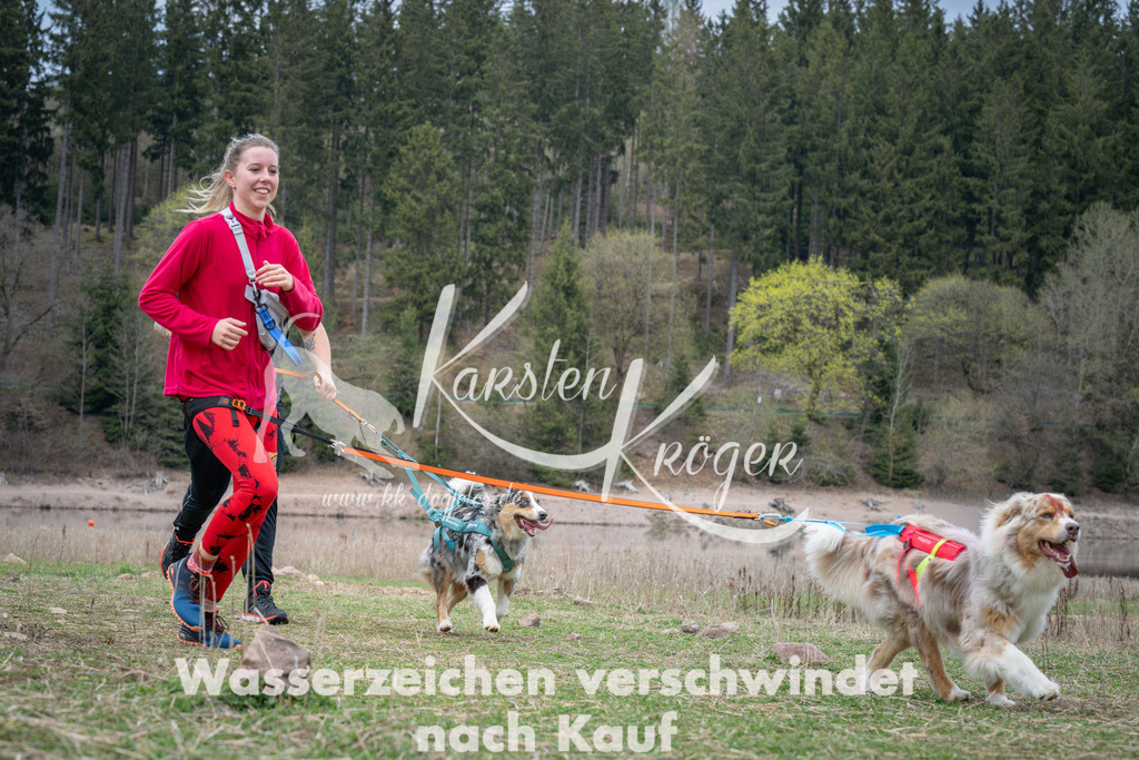 1837_ZZ99548 | kk-dogfotos