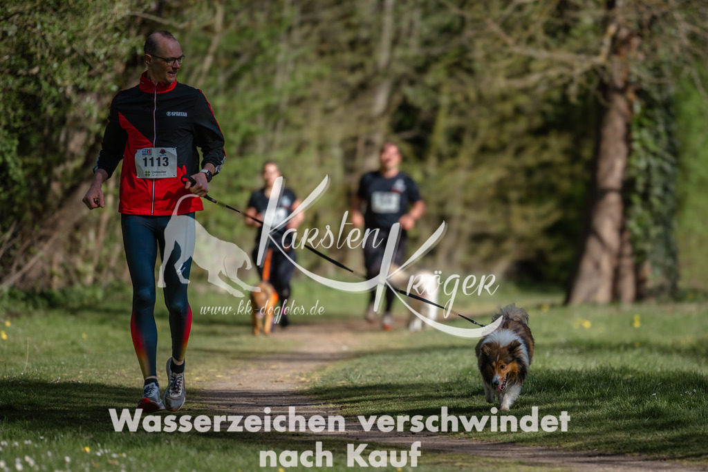1010DZ6_3740 | kk-dogfotos