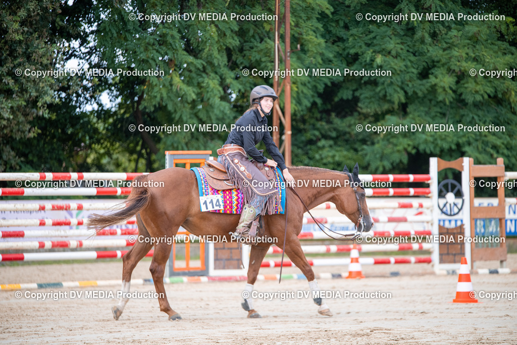 ZS3_5535 | dv-media-shop - Realisiert mit Pictrs.com