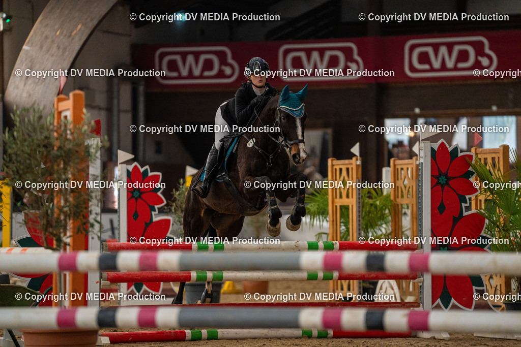 Kranichstein Tag 1-154 | dv-media-shop - Realisiert mit Pictrs.com