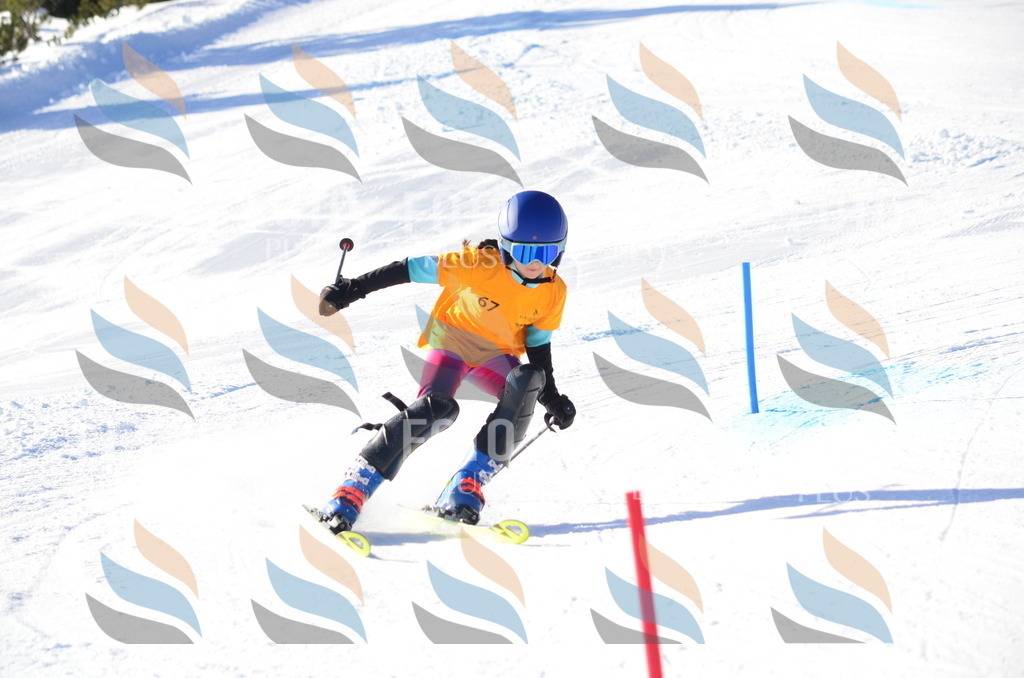 C5846 | holidayphoto