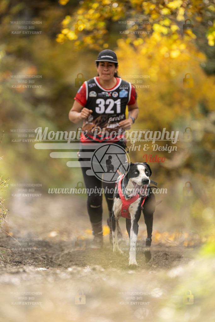 MompixPhotography_ICF_WC_2024_SA_Run_-216 | PayLife