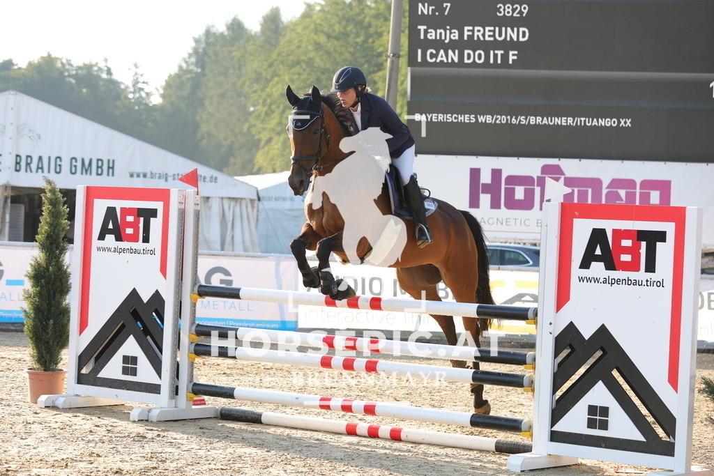 0P6A3683 | Willkommen bei Brunnmayr - Design & Fotografie – Ihrem Spezialisten für Reitturniere und Pferdeveranstaltungen in Oberösterreich, Salzburg und Bayern! Seit über 17 Jahren sind wir leidenschaftlich dabei.