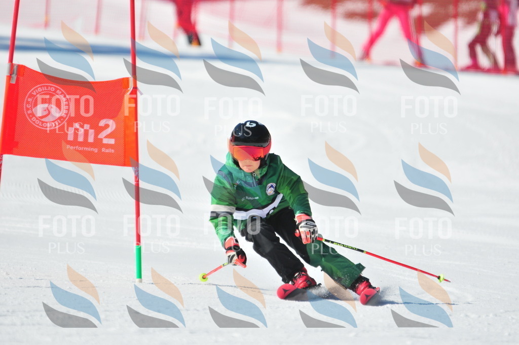 C3162 | holidayphoto