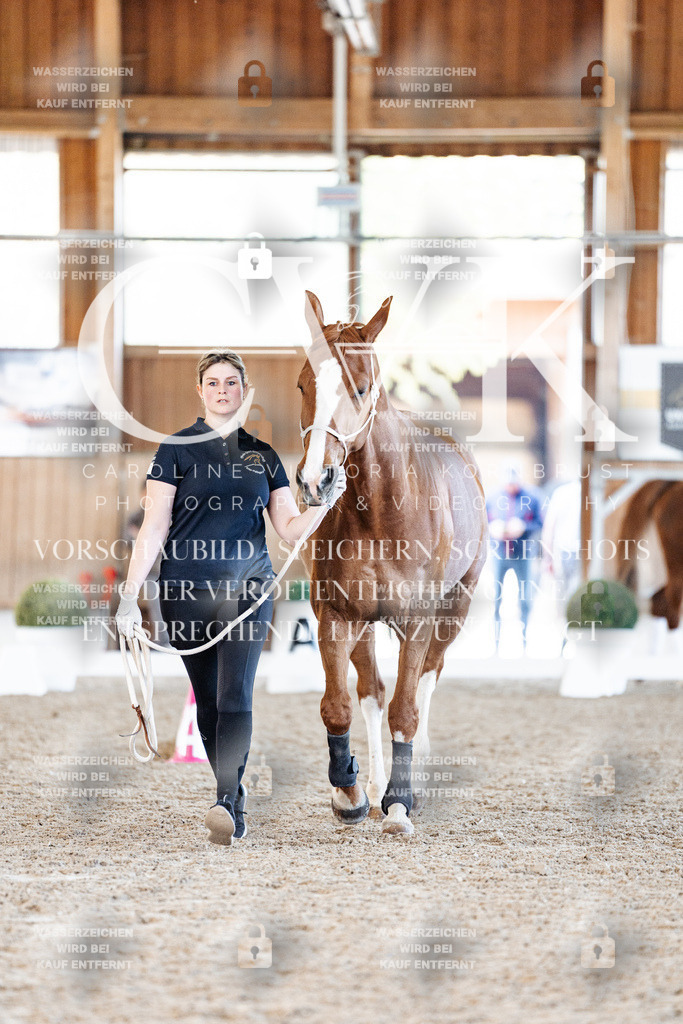CK906051 | Turnierfotografie Pferdefotografie Trier Rheinland-Pfalz Pferdesport Reitsport Tierfotografie Sportfotografie Pferdevideo Pferdevideografie Equestrianvideography equestrianphotography  - Realisiert mit Pictrs.com