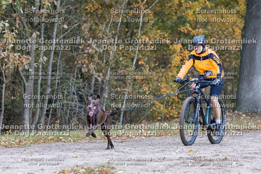 Dog Paparazzi - SD CaniX Championship 2025-228 | Dog Paparazzi Jeanette Grottendiek Fotografie & Videografie - Realisiert mit Pictrs.com