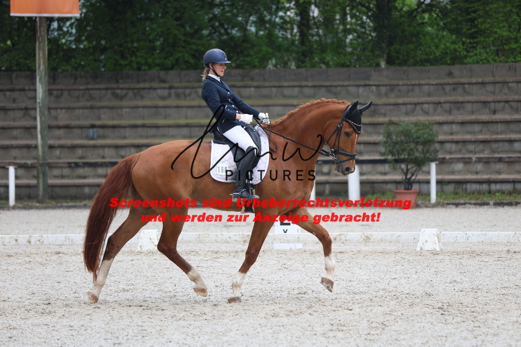 A40A8153 | lmwpictures - Realisiert mit Pictrs.com