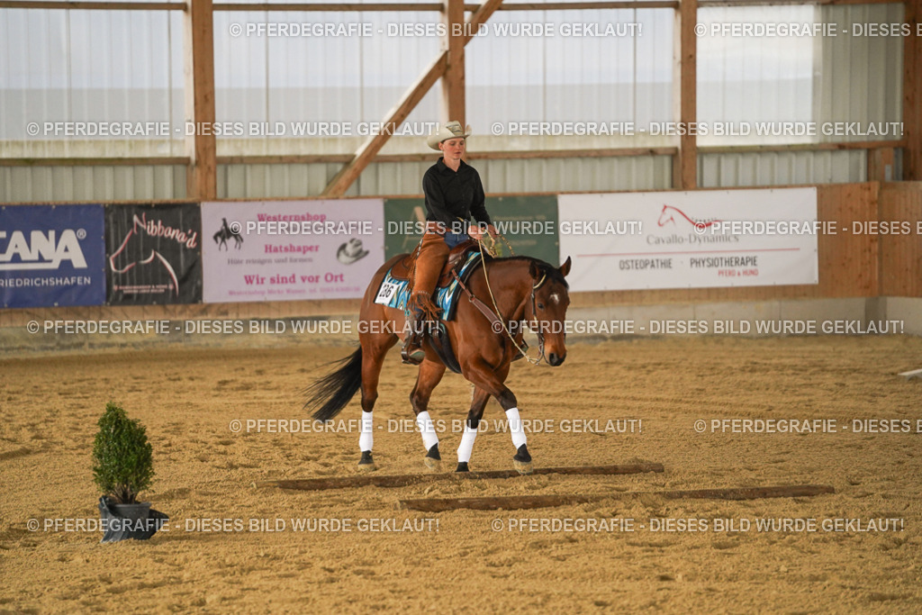 DSC04474 | Pferdegrafie