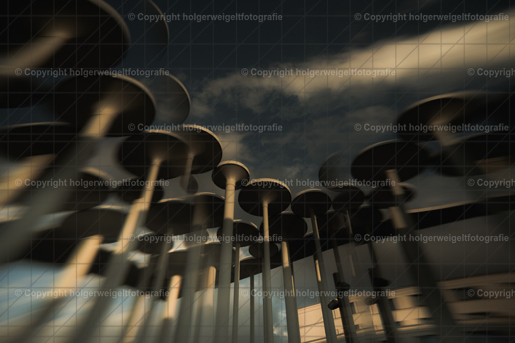 20260703203949Z63_5375 | Kaufen sie online außergewöhnliche Fotografien auf Leinwand Acrylglas Fotoprint Aludibond von holgerweigeltfotografie - Realisiert mit Pictrs.com