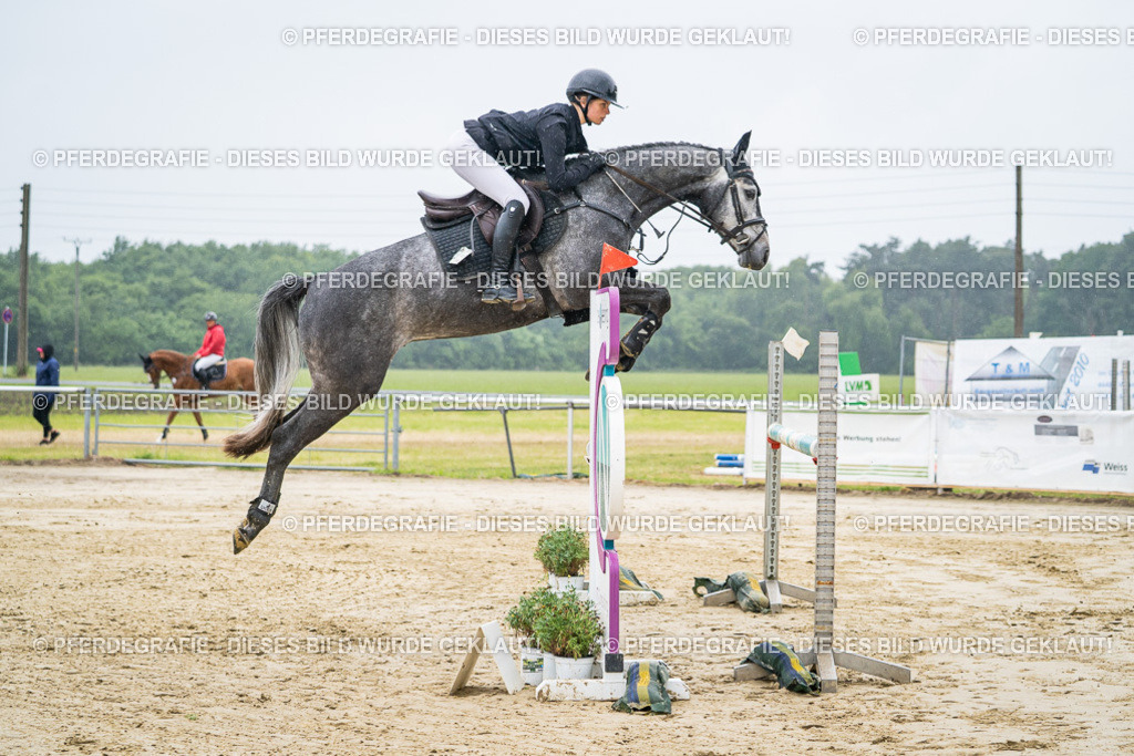 DSC01546 | Pferdegrafie