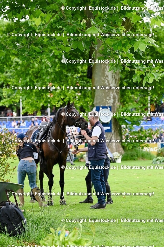 20250607_27_CCI4_Gelände_0522 | Foto: Thomas Hartig