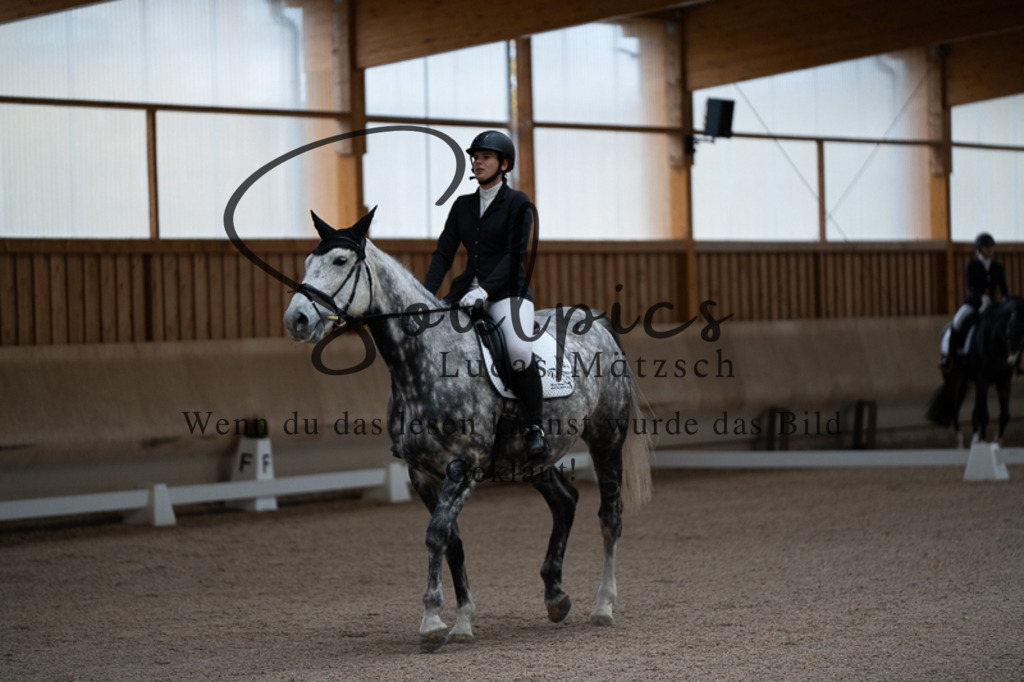 A7V02125 | Pferdefotograf