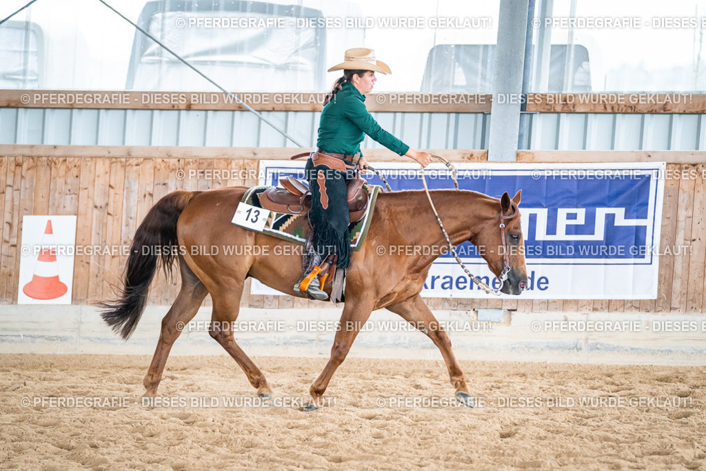 DSC03794 | Pferdegrafie