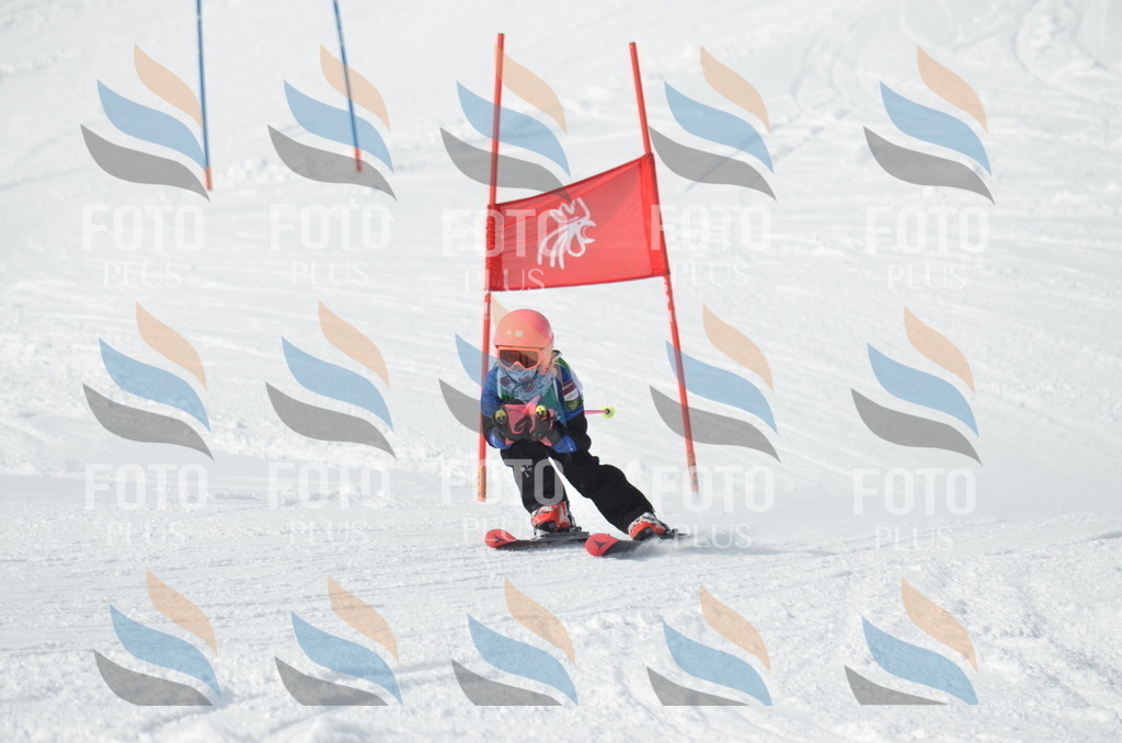 D8570 | holidayphoto