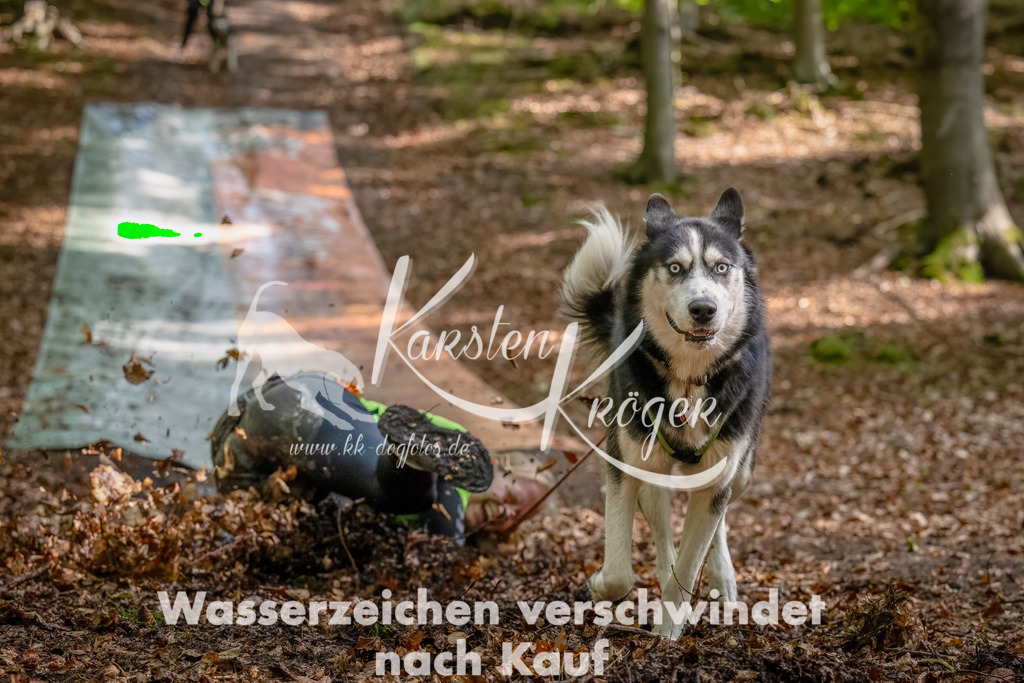 1207_ZZ93192-Bearbeitet | kk-dogfotos