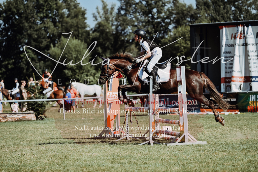 DSC_6904 | Pferde- und Turnierfotografie in Westsachsen. Pferdeportraits, Auftragszeichnungen und intuitive Kunst.