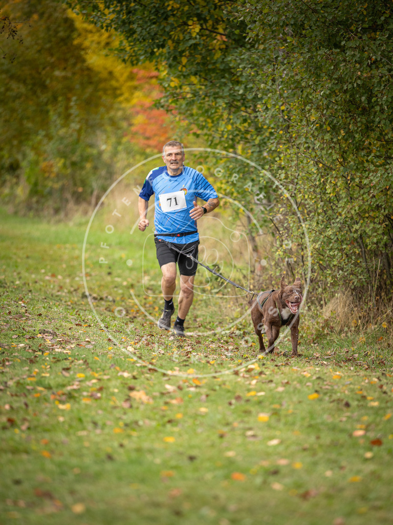 Pfotenfotografie_DV3A2843 | Hundefotografie, Tierfotograf, Pfotenfotografie, Fotoshooting Hund, Hunde Portrait, Hundesport, Hundeportraits, Heideshooting, Hunde, Sportfotograf, Hundefotograf, Turnierhundsport, THS,  - Realisiert mit Pictrs.com