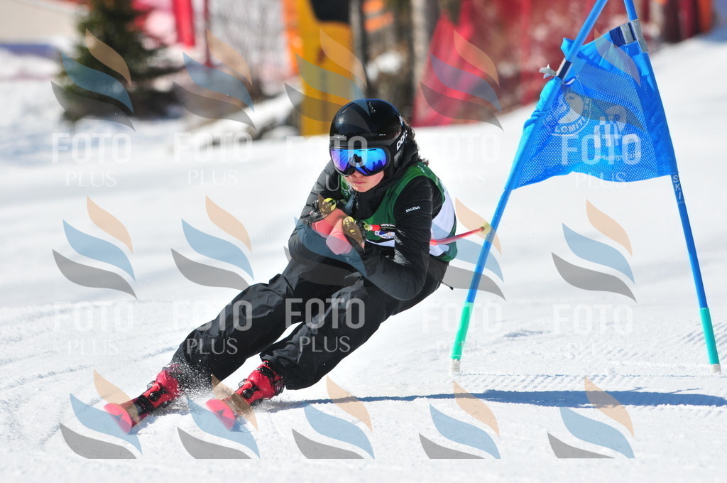 C3961 | holidayphoto