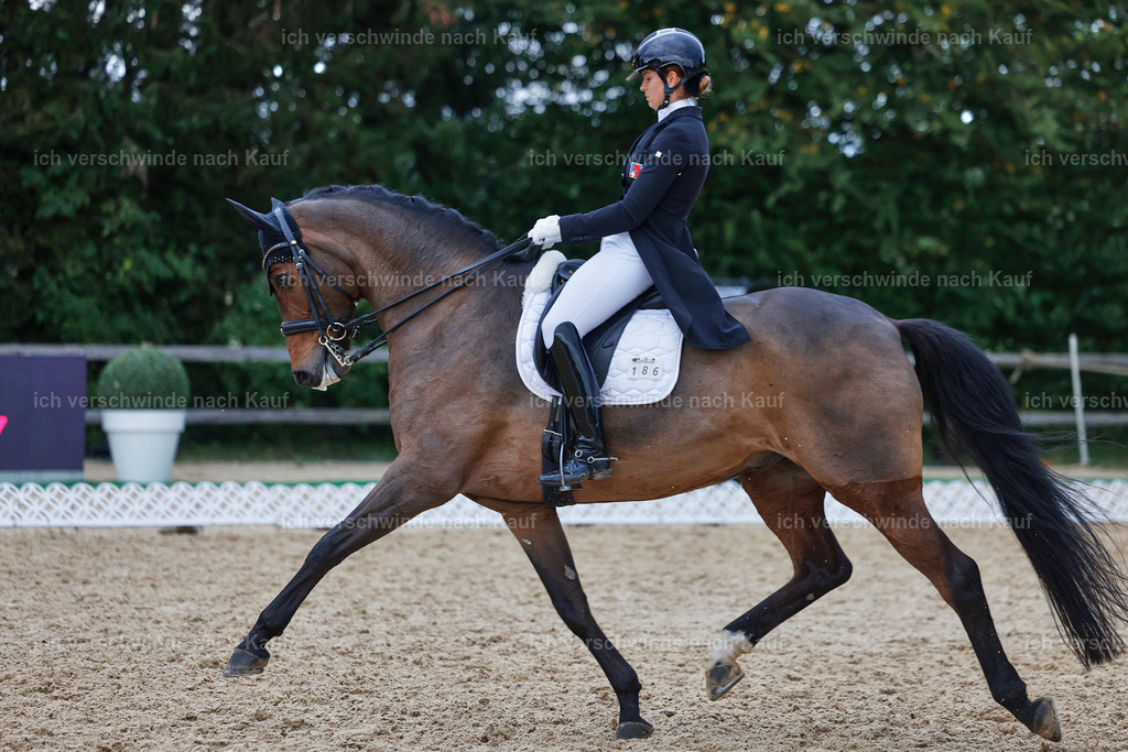 12-186-DRESSUR  S___  -StoibPH-5377 | working equitationturnier fotograf videograf stoibphotography marixx film working equitation deutschland reitsport turnierfotografie eventfotografie equestrian events