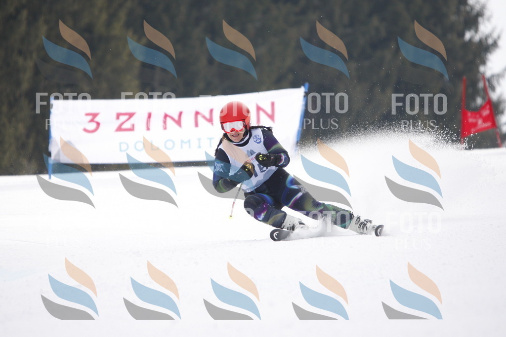 D4796 | holidayphoto