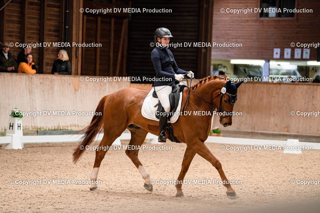 Dressur Tag 1 -20 | dv-media-shop - Realisiert mit Pictrs.com