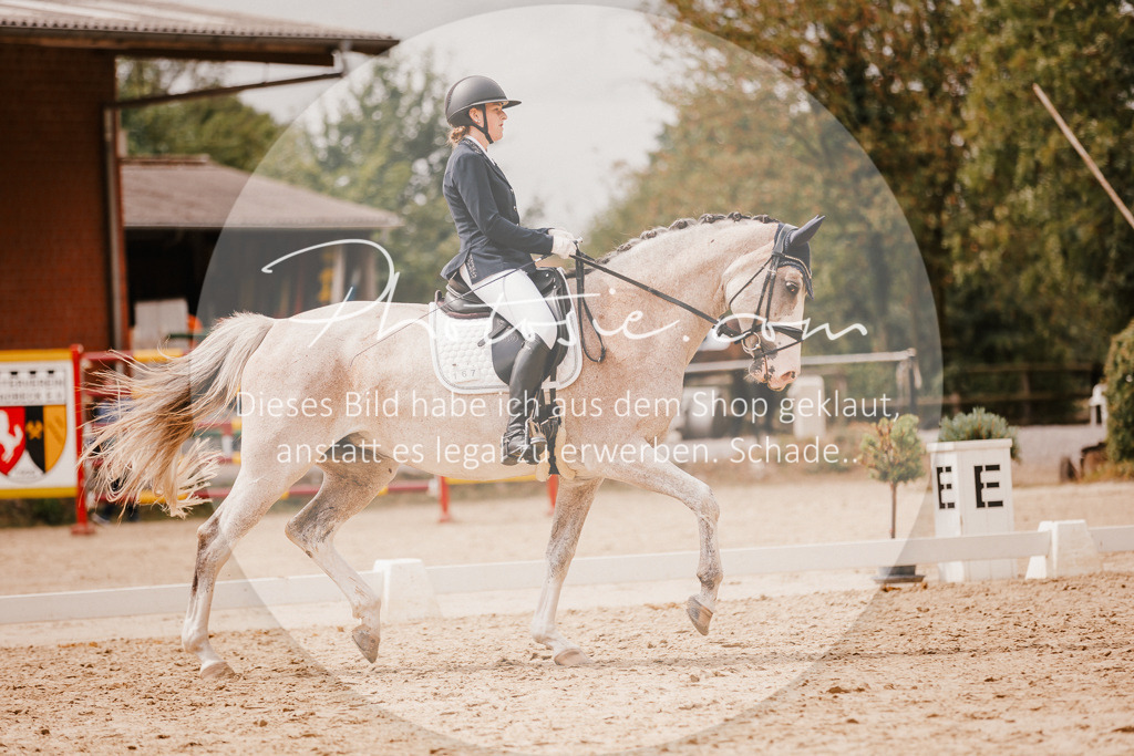 3I6A6154 | Stimmungsvolle Portraits und Reitsportfotografie im Ruhrgebiet und im Münsterland.

Pferdefotografie, Hundefotografie, Tierfotografie, Reportagen, Portraits von Tier und Mensch, Turnierfotografie in Bochum, Recklinghausen, Marl, Haltern am See, Dülmen.. - Realisiert mit Pictrs.com